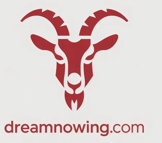 dreamnowing.com