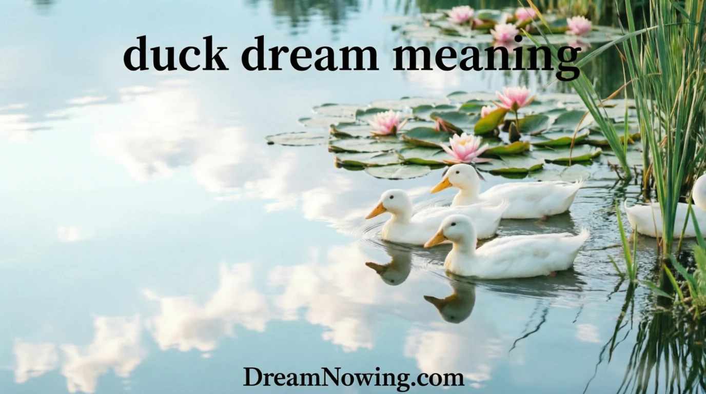 Duck Dream Meaning